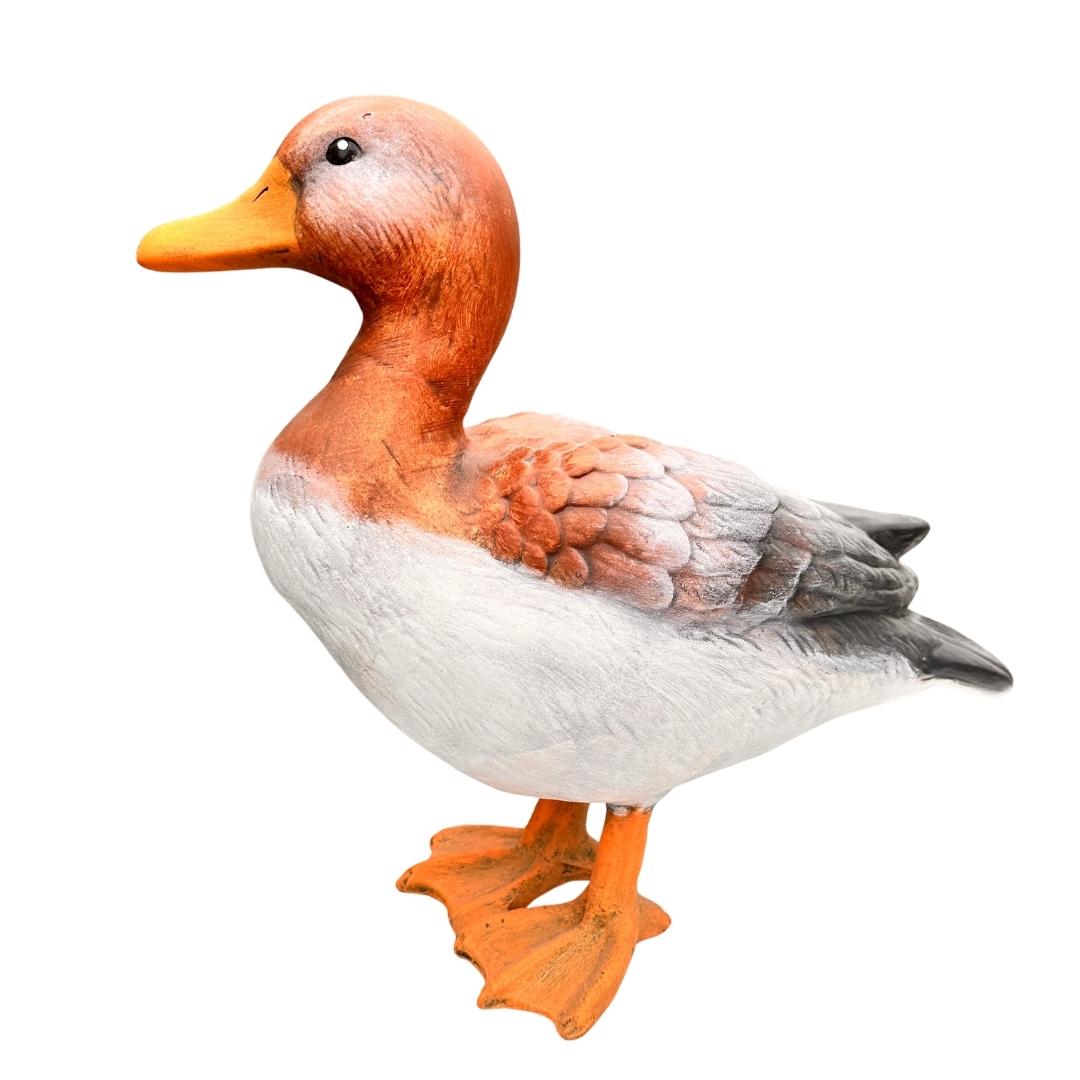 zadní pohled na kachnu Rozárku